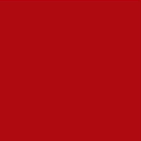 Résine colorée rouge, pour rénover les éléments muraux 250 ml - Resinence - Brico Dépôt